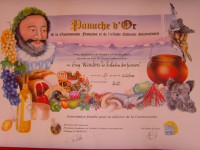 /album/galerie-photos/diplome-panache-dor-jpg/